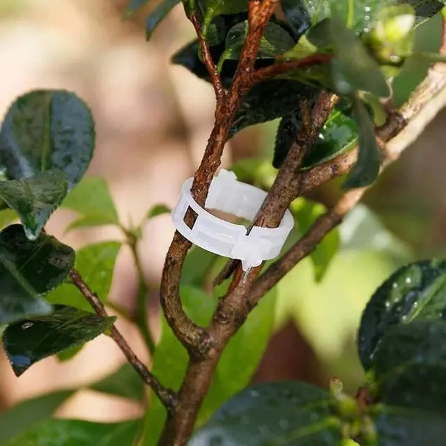 Alt view image 6 of 7 - 250 PCS Tomato Clips 23 mm Trellis Support Vegetable Garden Plant Binder