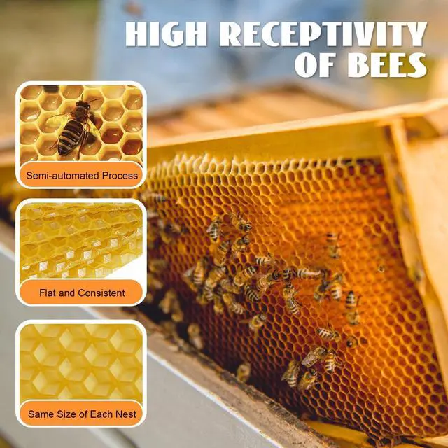 Alt view image 4 of 7 - Bee Hive Foundation Honey Hive Equipment Deep House Nest Honeycomb Wax Frame