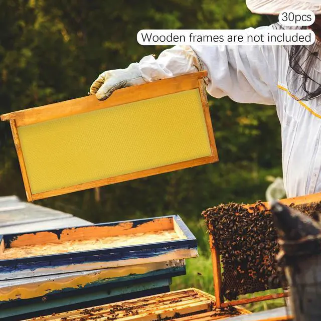 Main image of Bee Hive Foundation Honey Hive Equipment Deep House Nest Honeycomb Wax Frame