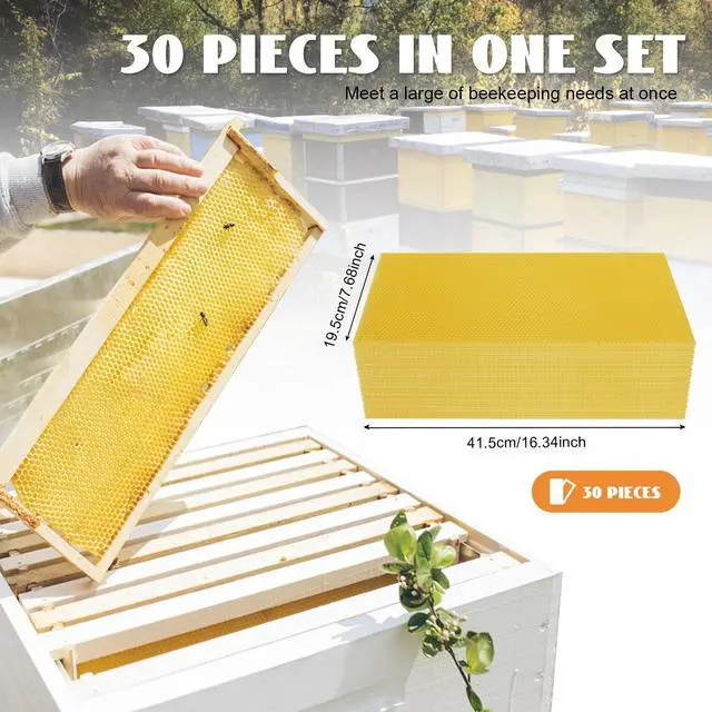 Alt view image 7 of 7 - Bee Hive Foundation Honey Hive Equipment Deep House Nest Honeycomb Wax Frame
