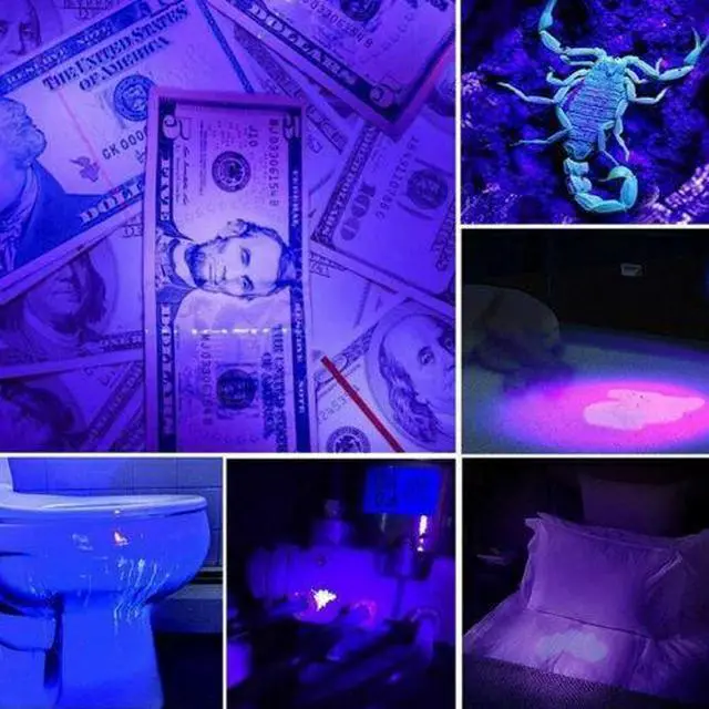 Alt view image 5 of 7 - 2X UV Ultra Violet LED Flashlight Blacklight Light 395 NM Inspection Lamp Torch