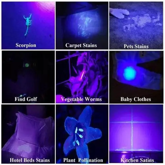 Alt view image 6 of 7 - 2X 395nm UV Light Penlight Black Light Scalable Clip Pen Light Pocket Flashlight