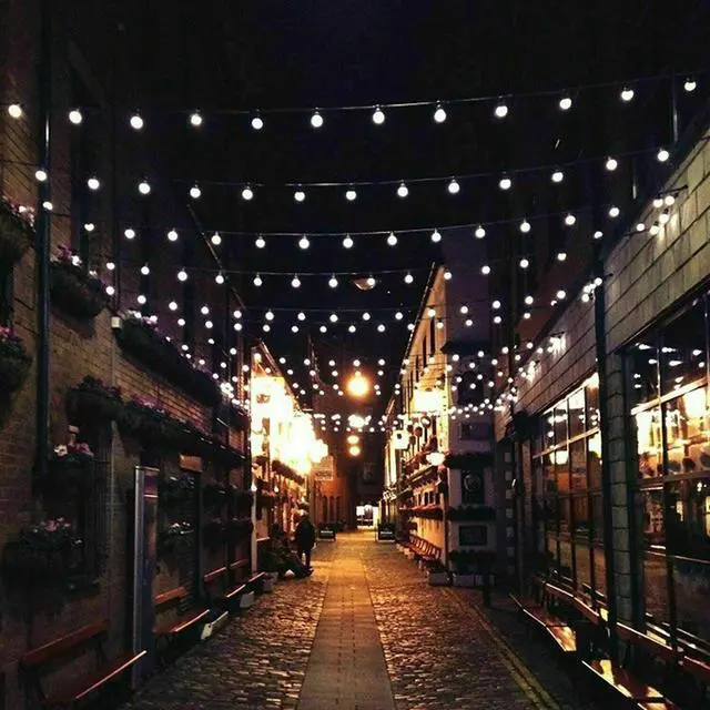 Alt view image 3 of 7 - Solar Powered 30 LED Light String Garden Path Yard Decor Lamp Outdoor Waterproof