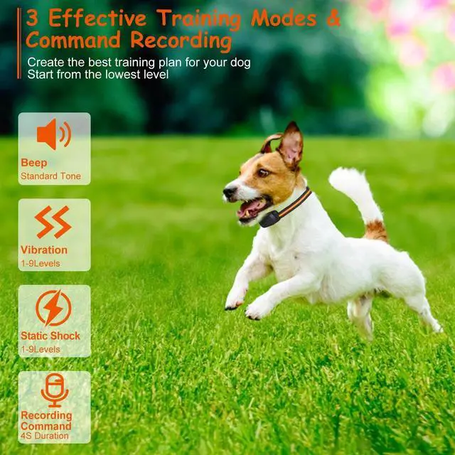 Alt view image 2 of 7 - 3-Channel Dog Training Collar 984ft Range Beep Vibration for Pet Training