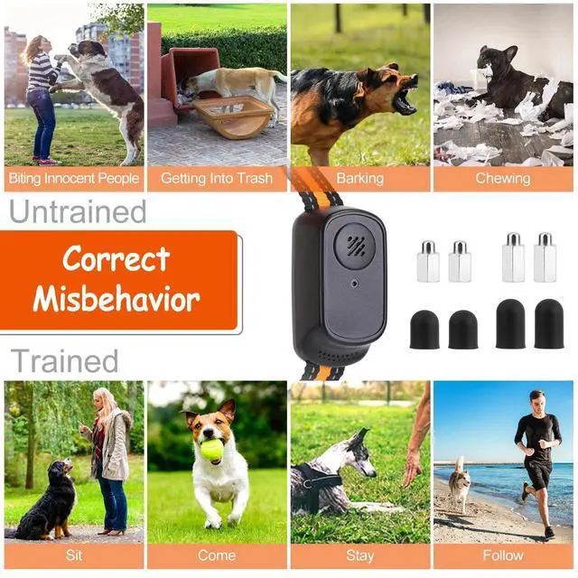 Alt view image 3 of 7 - 3-Channel Dog Training Collar 984ft Range Beep Vibration for Pet Training