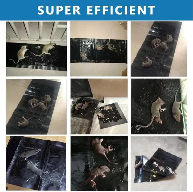 Alt view image 5 of 6 - 4 Pack Mouse Glue Traps 24 x 11inch Anti Slip Rat Snake Rodent Sticky Pads Pet