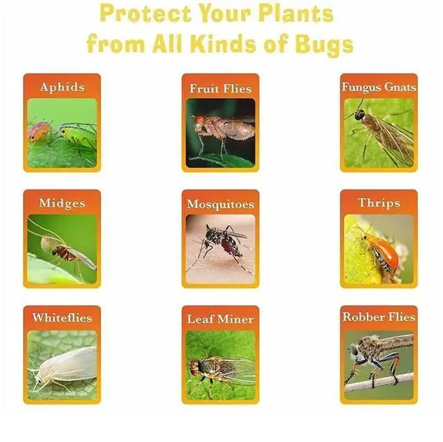 Alt view image 3 of 7 - Sticky Fruit Fly Traps, Fungus Gnat Killer Trap use for Indoor Outdoor, 48 pcs