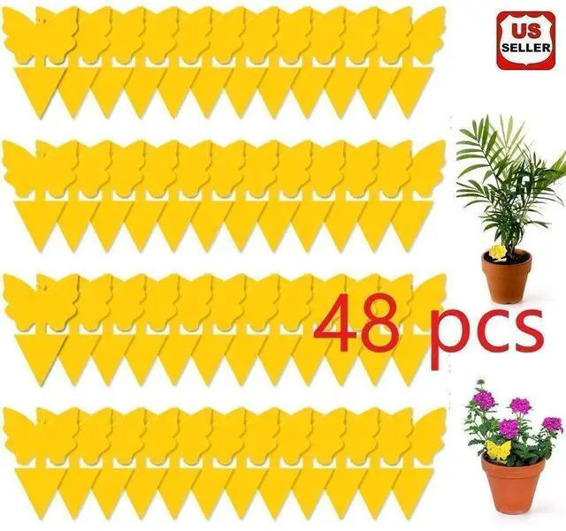 Main image of Sticky Fruit Fly Traps, Fungus Gnat Killer Trap use for Indoor Outdoor, 48 pcs