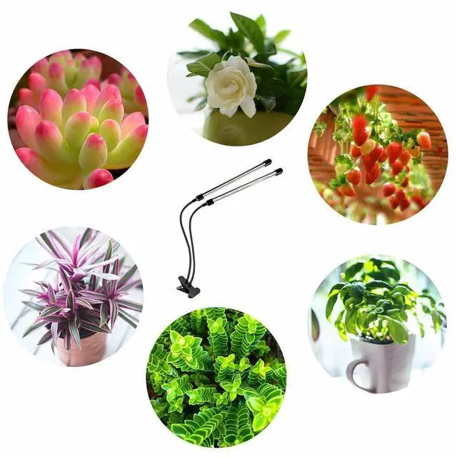 Alt view image 2 of 7 - Plant Grow Light Gooseneck Dual Head LED Lamp Hydroponics Greenhouse Dimmable US