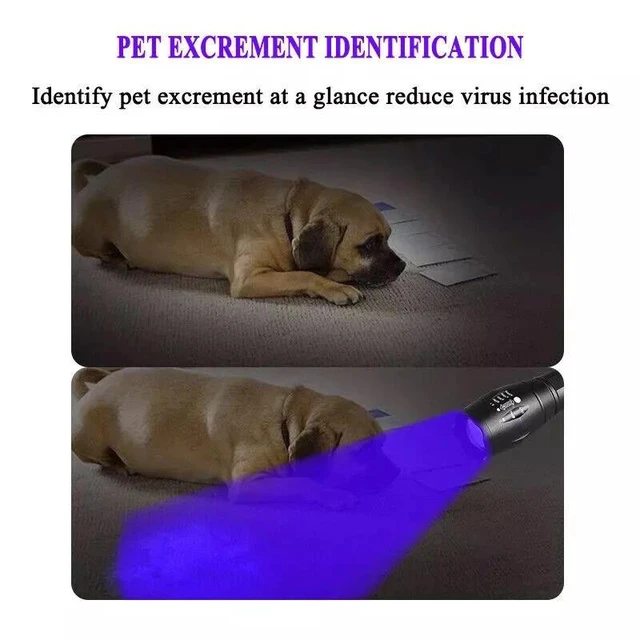 Alt view image 6 of 7 - Super Bright 120000lm UV Torch Ultra Violet Flashlight Blacklight Light Lamp LED
