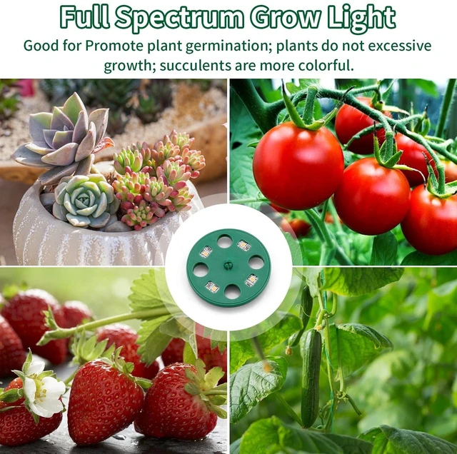 Alt view image 6 of 7 - Seed Starter Tray Set w/ Grow Light & Humidity Dome - Plant Flower Starter kit
