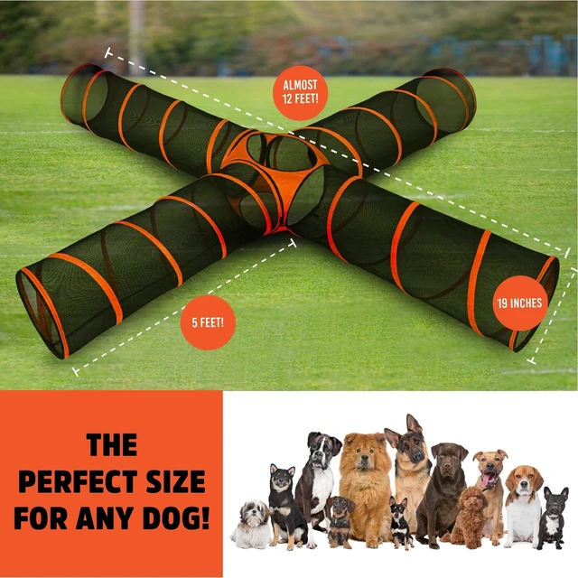 Alt view image 3 of 7 - NEWEST Dog Agility Tunnels Set - 4-way PLUS! Orange/Black