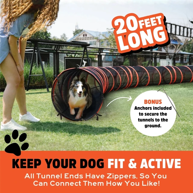 Alt view image 2 of 7 - NEWEST Dog Agility Tunnels Set - 4-way PLUS! Orange/Black
