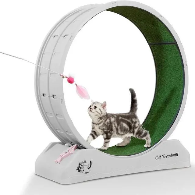 Main image of Cat Treadmill Runner Training Wheel Pet Exercise Toy Indoor Teaser