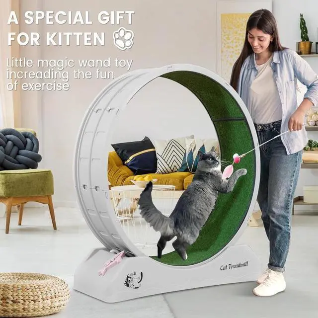 Alt view image 6 of 7 - Cat Treadmill Runner Training Wheel Pet Exercise Toy Indoor Teaser