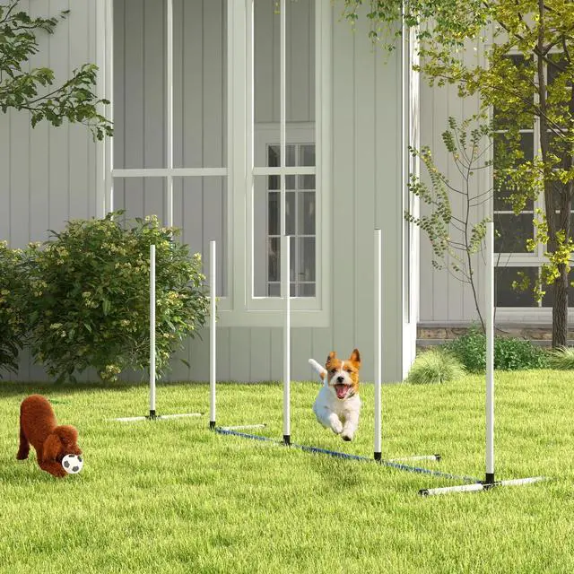 Alt view image 5 of 7 - 2PCs Dog Agility Kit with Weave Poles, Spray Water Tube
