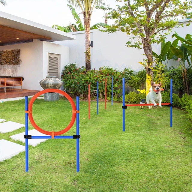 Main image of Pet Agility Training Equipment Dog Play Run Jump Obedience Training Set