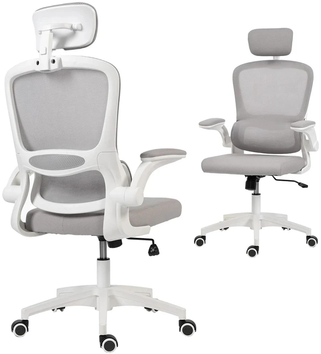 Main image of Ergonomic Office Chair, Desk Chair with Lumbar Support, Grey