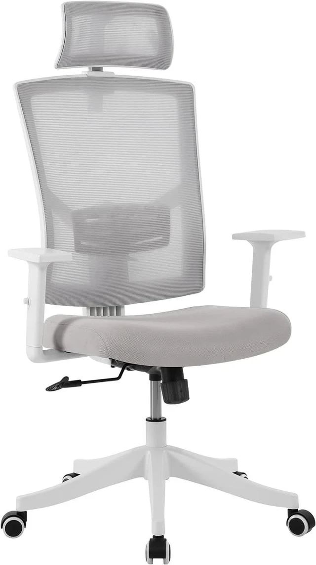Main image of Ergonomic Executive Chair with Lumbar Support Mesh Home Office Chair Desk Chair