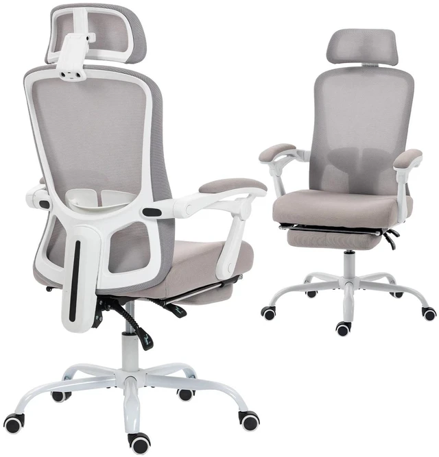 Main image of Ergonomic Office Chair, Reclining Mesh Computer Chair, Grey