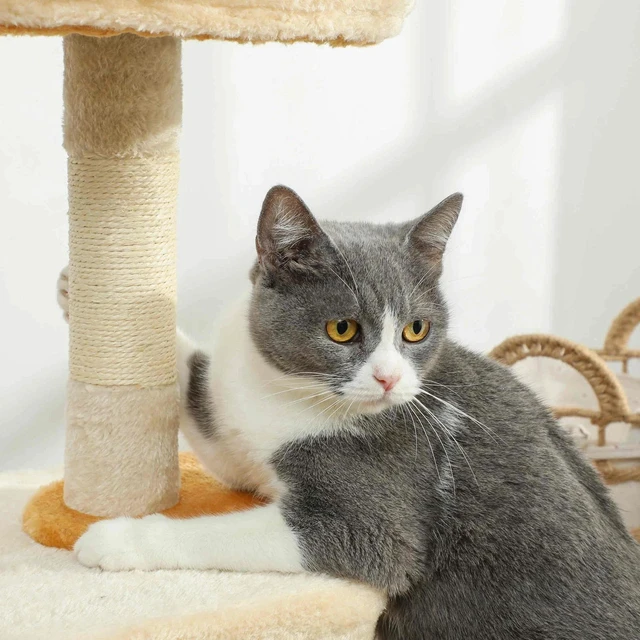Alt view image 3 of 7 - 28" Cat Tree Tower with Plush Top Bed, Beige and Yellow