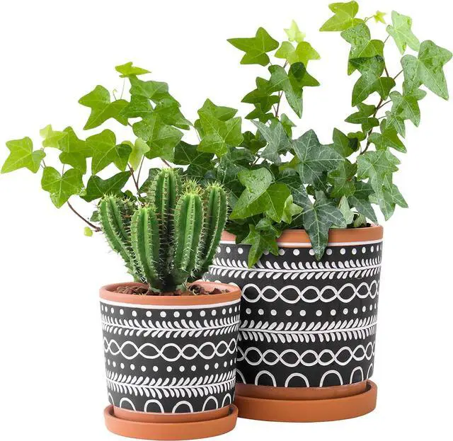 Alt view image 2 of 7 - D'vine Dev Set of 2 Terracotta Pots, 4 Inch & 6 Inch, Planter Pots for Plants with Drainage Holes and Saucers, Terracotta/Black, 31-958-D-2