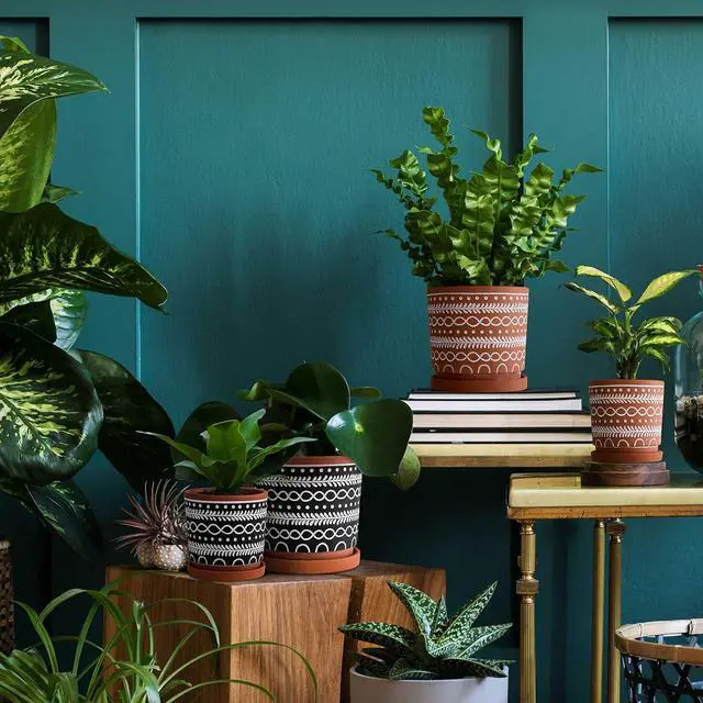 Alt view image 7 of 7 - D'vine Dev Set of 2 Terracotta Pots, 4 Inch & 6 Inch, Planter Pots for Plants with Drainage Holes and Saucers, Terracotta/Black, 31-958-D-2