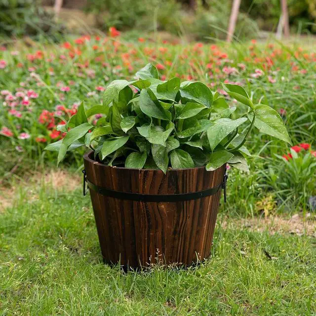 Alt view image 2 of 7 - Rustic Wooden Whiskey Barrel Planter with Durable Medal Handles and Drainage Hole - Perfect for Indoor and Outdoor Plants, Herbs, and Vegetables - Small