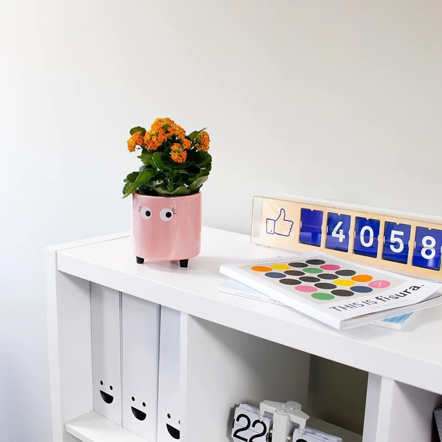 Alt view image 3 of 7 - Fisura - Original Flower Pot Eye Design. Decorative Indoor Planter. Pot with Legs for Cactus. Pink Ceramic Planter for Flowers and Succulents. Dimensions: 5.12 in x 4.92 in