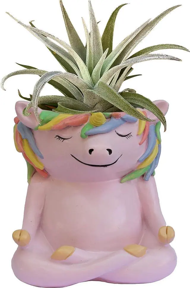 Main image of GFF Grass Flip Flops Meditating Animals Unicorn Planter - 4.1H x 3.5W x 3D Inch Plant Pot for Succulents Flower Herb Houseplant Live Plants Stand Garden Home Office Kitchen Decor