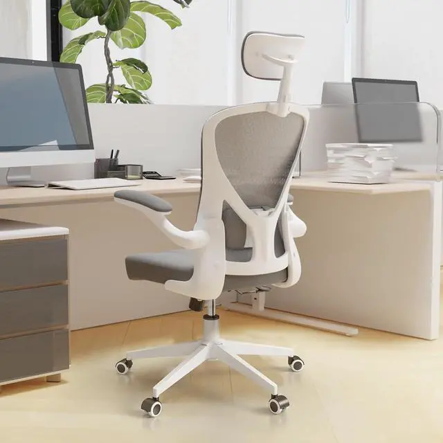 Main image of Ergonomic Office Desk Chair High Back Mesh Computer Chair | 360° Swivel Adjustable Lumbar Support & Flip-Up Armrests capacity 300 lbs capacity