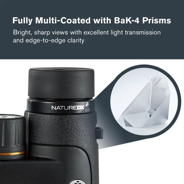 Alt view image 4 of 6 - Celestron Nature DX ED 8x42 Premium Waterproof Birding Binoculars | ED Glass for True-to-Life Color, Fully Multi-Coated Optics & Phase Coated BaK-4 Prism, Sharp Edge-to-Edge Views, Waterproof
