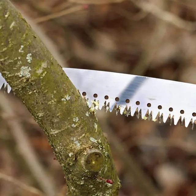 Alt view image 7 of 7 - 10FT Pole Saw for Tree Trimming 2-in-1 Hand Saw Steel Blade Tree Pruner | Adjustable Extension Pole with Triple Ground Tooth Blade and Dual Hooks for Cutting Branches in Yard Garden Patio