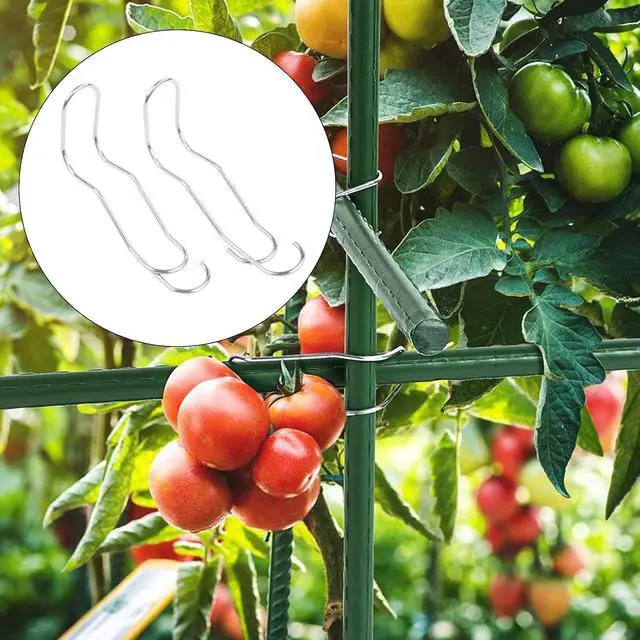 Alt view image 2 of 7 - 50 Pcs Plant Rod Connectors Metal Trellis Stakes Connection Buckles,For Fixing Plant Stands Garden Supports Silver 11Mm 16Mm 20Mm Sizes(20mm)