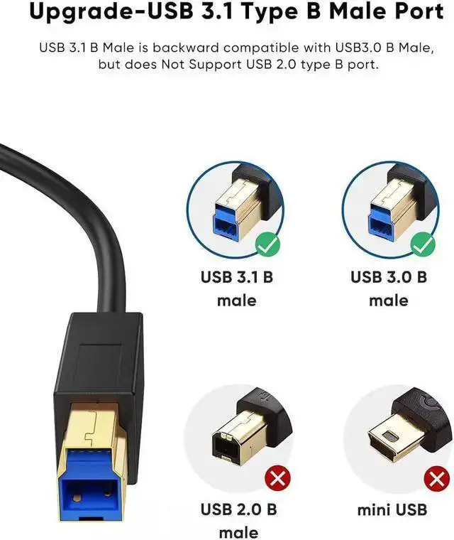 Alt view image 3 of 7 - USB Cable WISDUM USB C to USB B 3.1 Cable 6FT, USB B to USB C, USB Type B to USB C Cable 10Gbps Compatible with Thunderbolt 3 Host , External Hard Drive, Docking Station,Scanner 6 ft.