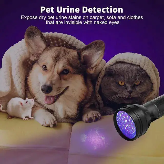 Alt view image 2 of 7 - WISDUM Escolite UV Flashlight Black Light 51 LED 395 nM Ultraviolet Blacklight Detector for Dog Urine Pet Stains and Bed Bug
