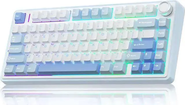 Main image of WISDUM F75 75% Wireless Mechanical Keyboard,Gasket Hot Swappable Custom Keyboard,Pre-lubed Greywood Switch RGB Backlit Gaming Keyboard,2.4GHz/Type-C/BT5.0 Keyboard (Salt White Blue)
