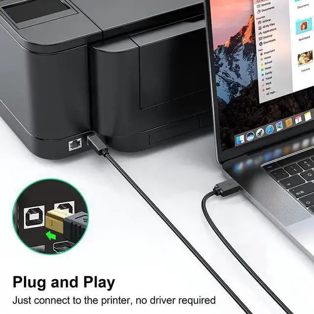 Alt view image 4 of 7 - WISDUM Printer Cable 25 ft USB Printer Cable Cord Type A-Male to B-Male Printer USB Cable for Printer/Scanner-Gold-Plated
