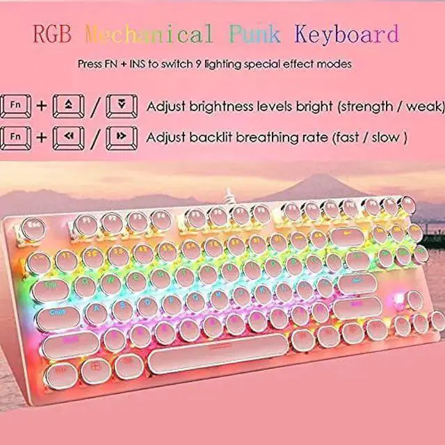 Alt view image 2 of 7 - WISDUM Ltvystore Mechanical Gaming Pink Keyboard,87 Key Retro Punk Typewriter-Style,Blue Switch RGB Backlit Keyboard,Anti-Ghosting, USB Wired, for PC Laptop Desktop Computer, for Game and Office