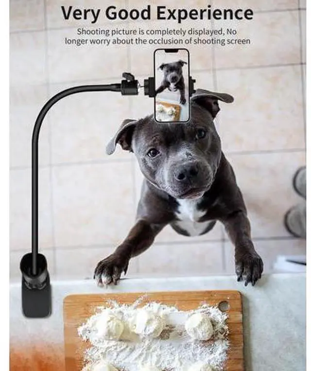 Alt view image 5 of 7 - Gooseneck Phone Holder for Bed/Desk, Flexible Phone Holder with 360 Adjustable Clamp Clip, Overhead Phone Mount, for Cookie Decorating, Recording or Watching Video