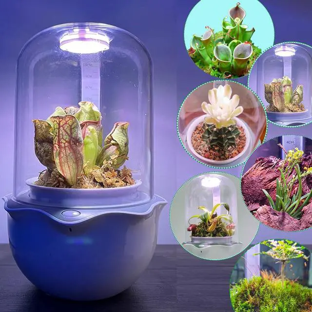 Alt view image 3 of 7 - Smart Venus Fly Trap Terrarium Pot with Timer&Fan,Plant Terrarium Kit with Grow Light for Carnivorous,Butterwort, Venus Flytrap,Birthday Gardening for Women Garden Lover-No Plant