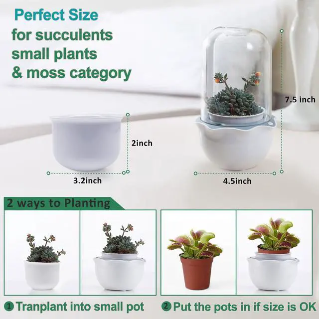 Alt view image 7 of 7 - Smart Venus Fly Trap Terrarium Pot with Timer&Fan,Plant Terrarium Kit with Grow Light for Carnivorous,Butterwort, Venus Flytrap,Birthday Gardening for Women Garden Lover-No Plant