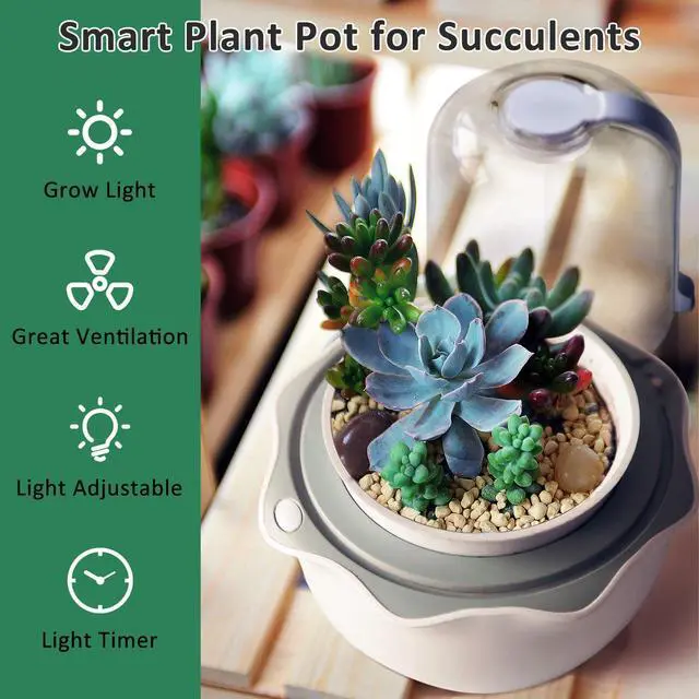 Alt view image 5 of 7 - Smart Venus Fly Trap Terrarium Pot with Timer&Fan,Plant Terrarium Kit with Grow Light for Carnivorous,Butterwort, Venus Flytrap,Birthday Gardening for Women Garden Lover-No Plant