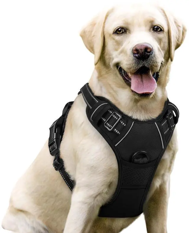 Main image of Dog Harness No Pull with 2 Leash Clips, Adjustable Soft Padded, Reflective Oxford No Choke Pet Vest with Easy Control Handle for Large Dogs, Black, L