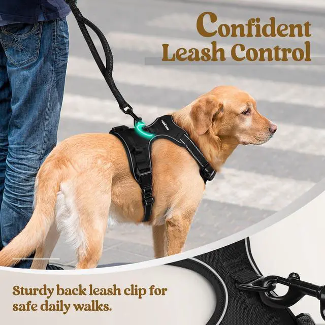 Alt view image 6 of 7 - Dog Harness No Pull with 2 Leash Clips, Adjustable Soft Padded, Reflective Oxford No Choke Pet Vest with Easy Control Handle for Large Dogs, Black, L