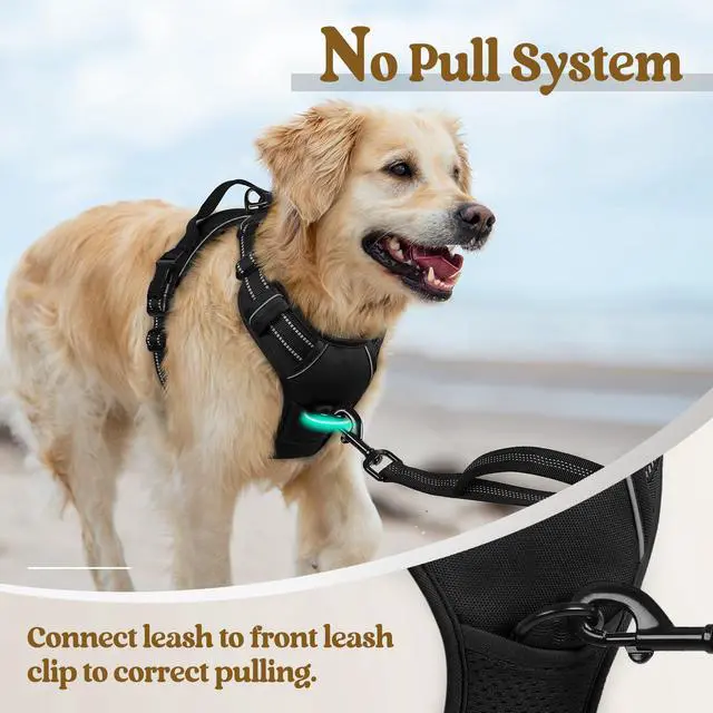 Alt view image 5 of 7 - Dog Harness No Pull with 2 Leash Clips, Adjustable Soft Padded, Reflective Oxford No Choke Pet Vest with Easy Control Handle for Large Dogs, Black, L