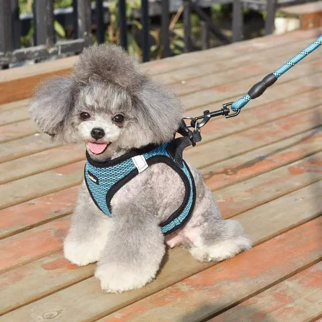 Alt view image 6 of 6 - Dog Harness Step-in Breathable Puppy Cat Dog Vest Harnesses for Small Medium Dogs