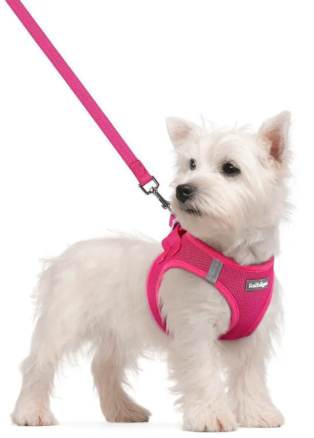 Main image of Dog Harness Small Sized and Leash Set, Step in Soft Light Puppy Vest, Breathable Mesh Pet Harness, Reflective for Safe Easy Walking, Rose Red S