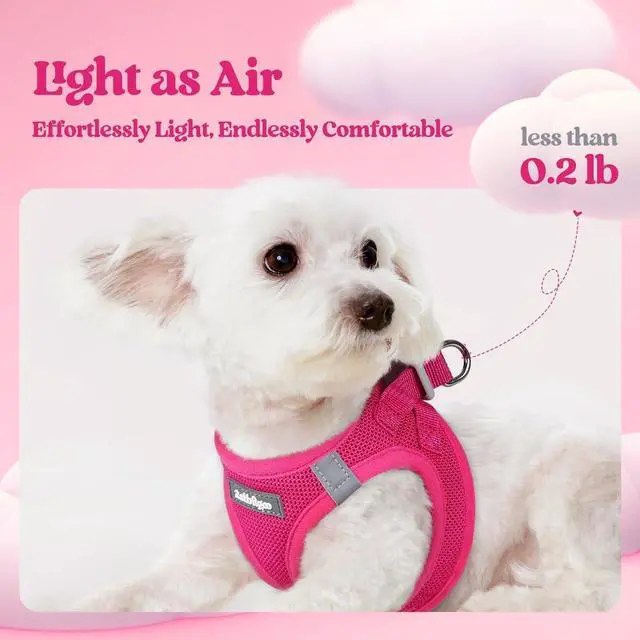 Alt view image 3 of 7 - Dog Harness Small Sized and Leash Set, Step in Soft Light Puppy Vest, Breathable Mesh Pet Harness, Reflective for Safe Easy Walking, Rose Red S