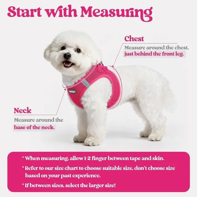 Alt view image 2 of 7 - Dog Harness Small Sized and Leash Set, Step in Soft Light Puppy Vest, Breathable Mesh Pet Harness, Reflective for Safe Easy Walking, Rose Red S